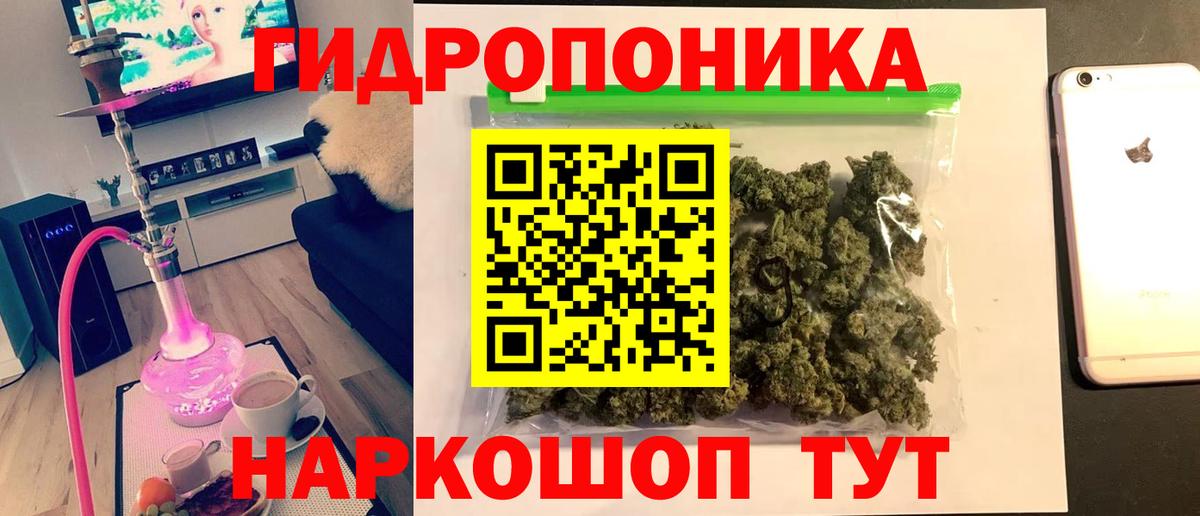 Новороссийск  Бошки Шишки гибрид  Марихуана VHQ  Вход с VPN 